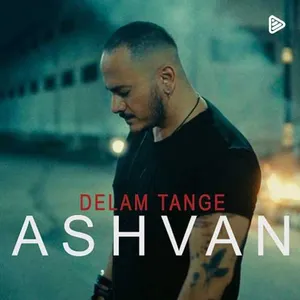 آهنگ دلم تنگه اشوان