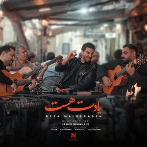 آهنگ یادت هست رضا ملک زاده